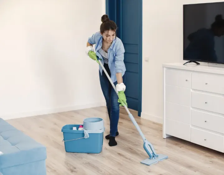 Femme de ménage Le Val-d'Ajol